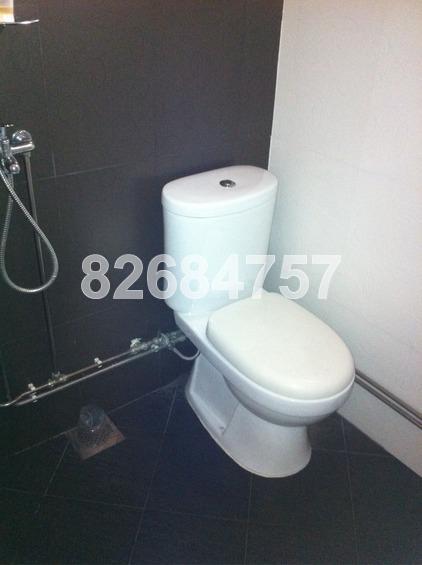 Blk 355 Hougang Avenue 7 (Hougang), HDB 3 Rooms #162475322